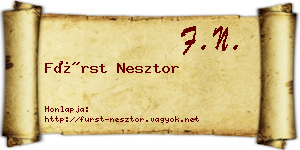 Fürst Nesztor névjegykártya